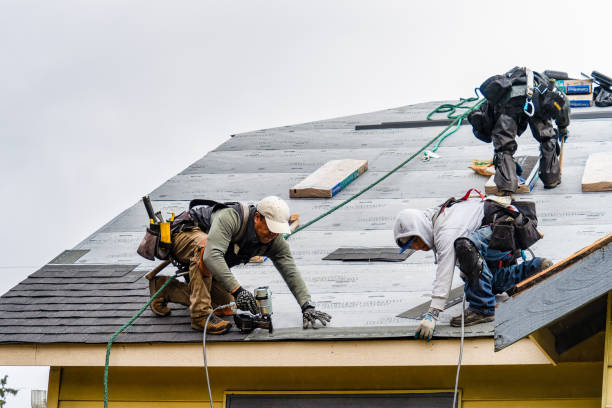 Professional Emergency Roof Repair technician working in Lansing, IA